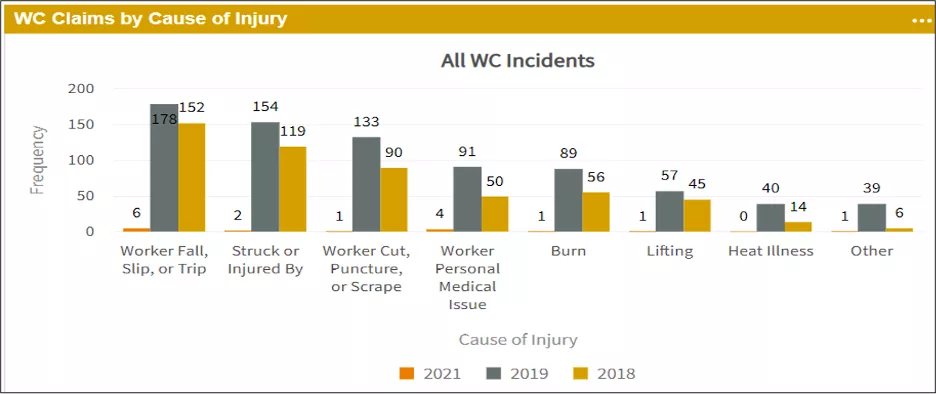 Example report in Origami showing slips and falls as the number one cause of injury.