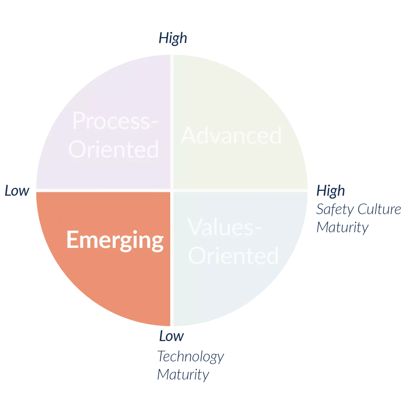 Emerging EHS Segment