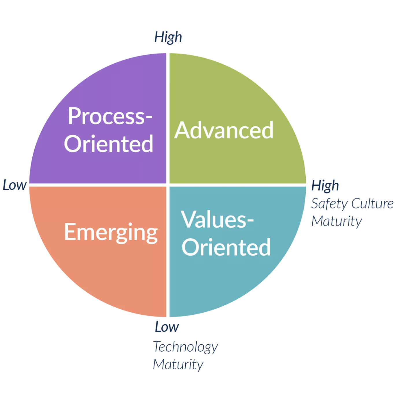 EHS Maturity Assessment categories