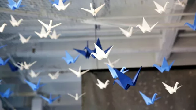 origami-risk-office-cranes-1024x576